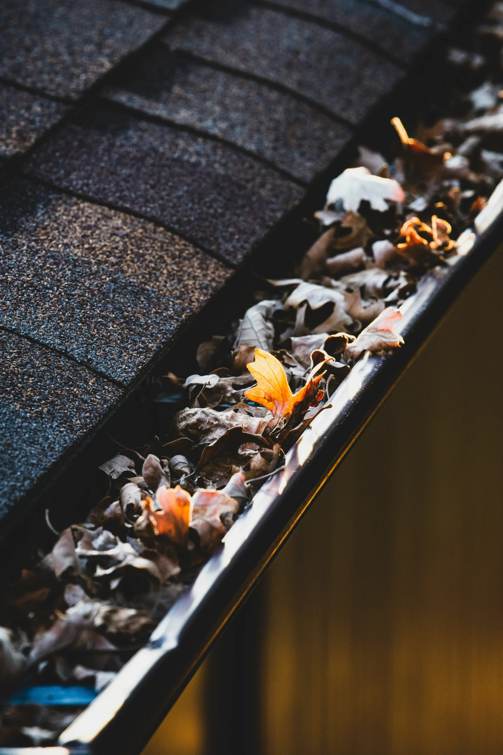 jon-sailer-0Ci7ikrZB1g-unsplash